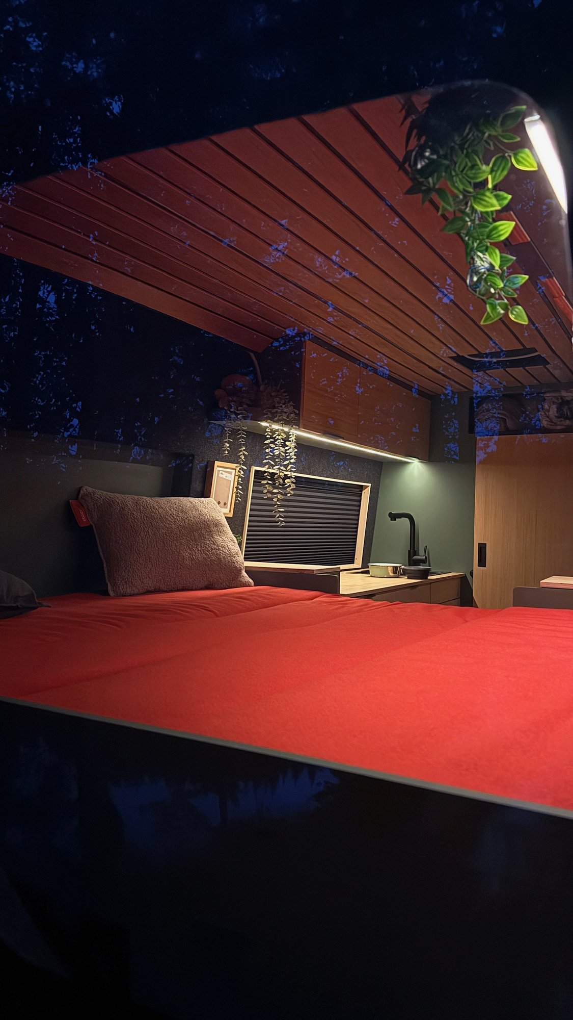 Bett mit Sternenhimmel: nachts Bett, tagsüber Sitzecke